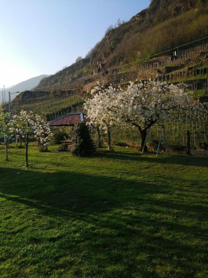 Casa Vacanze La Ca Del Cunfec Sondrio Exterior foto