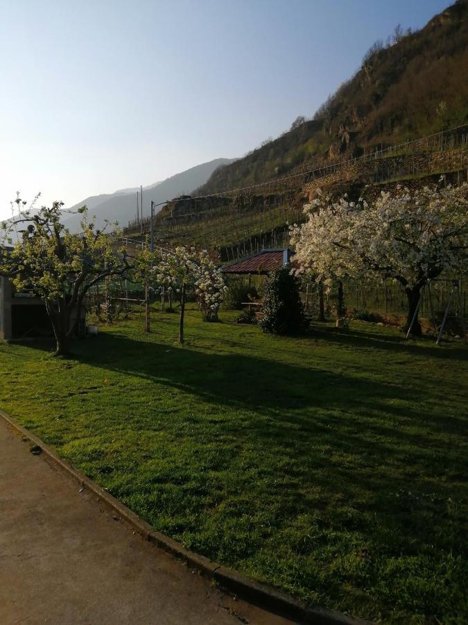 Casa Vacanze La Ca Del Cunfec Sondrio Exterior foto
